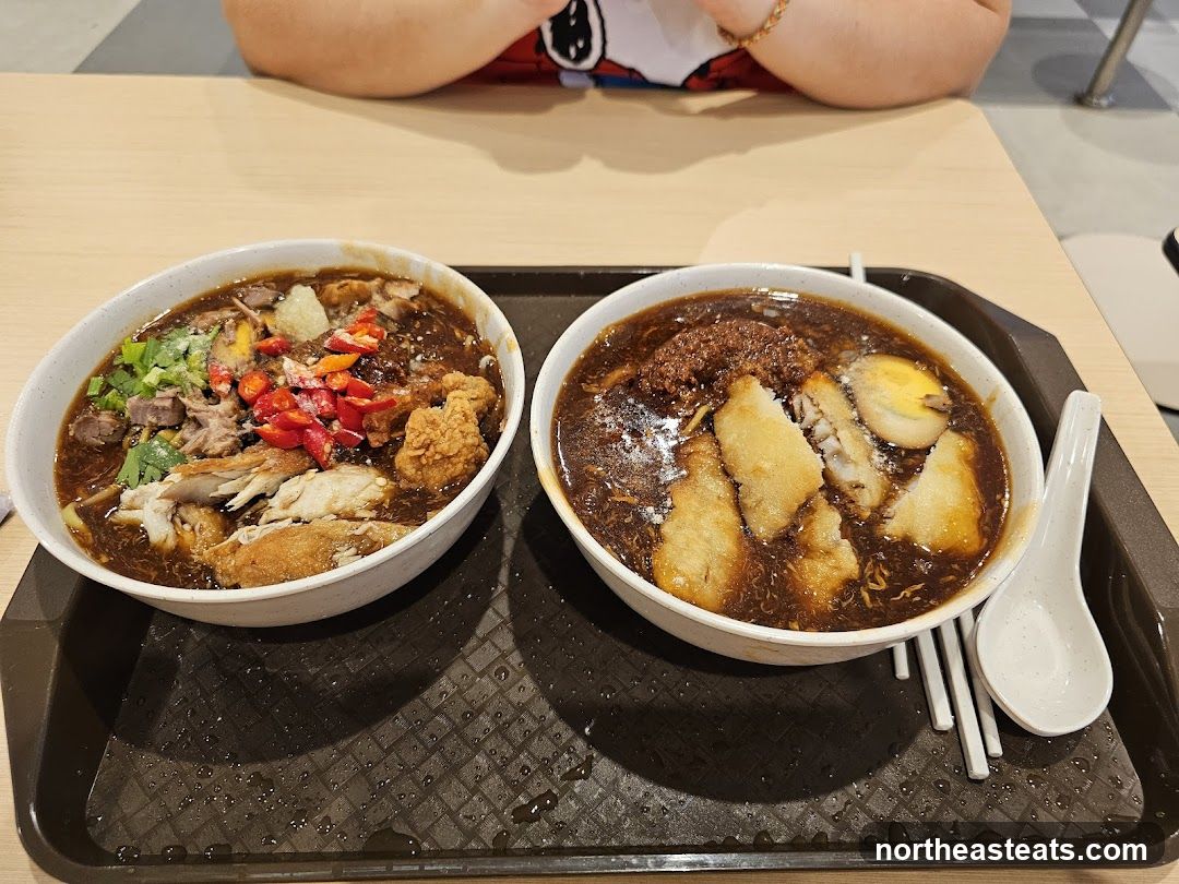 Two bowls of noodles