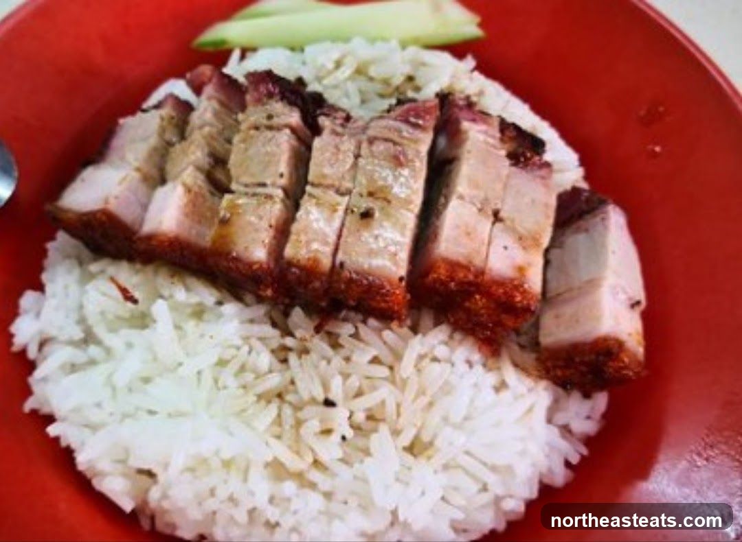 Roast Pork Rice