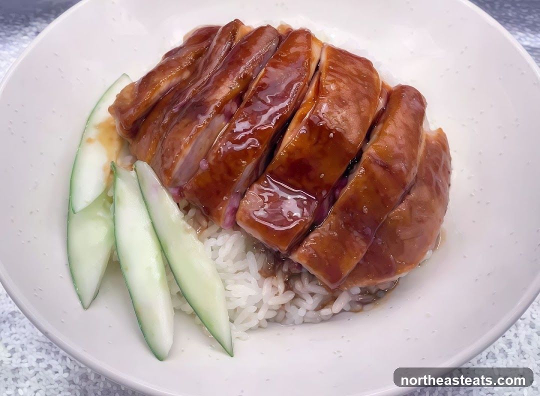 Roast Duck Rice