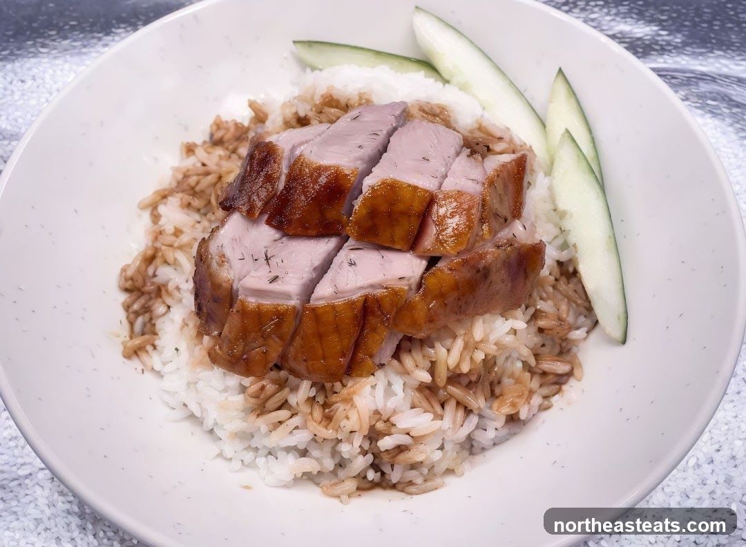 Roast Duck Rice