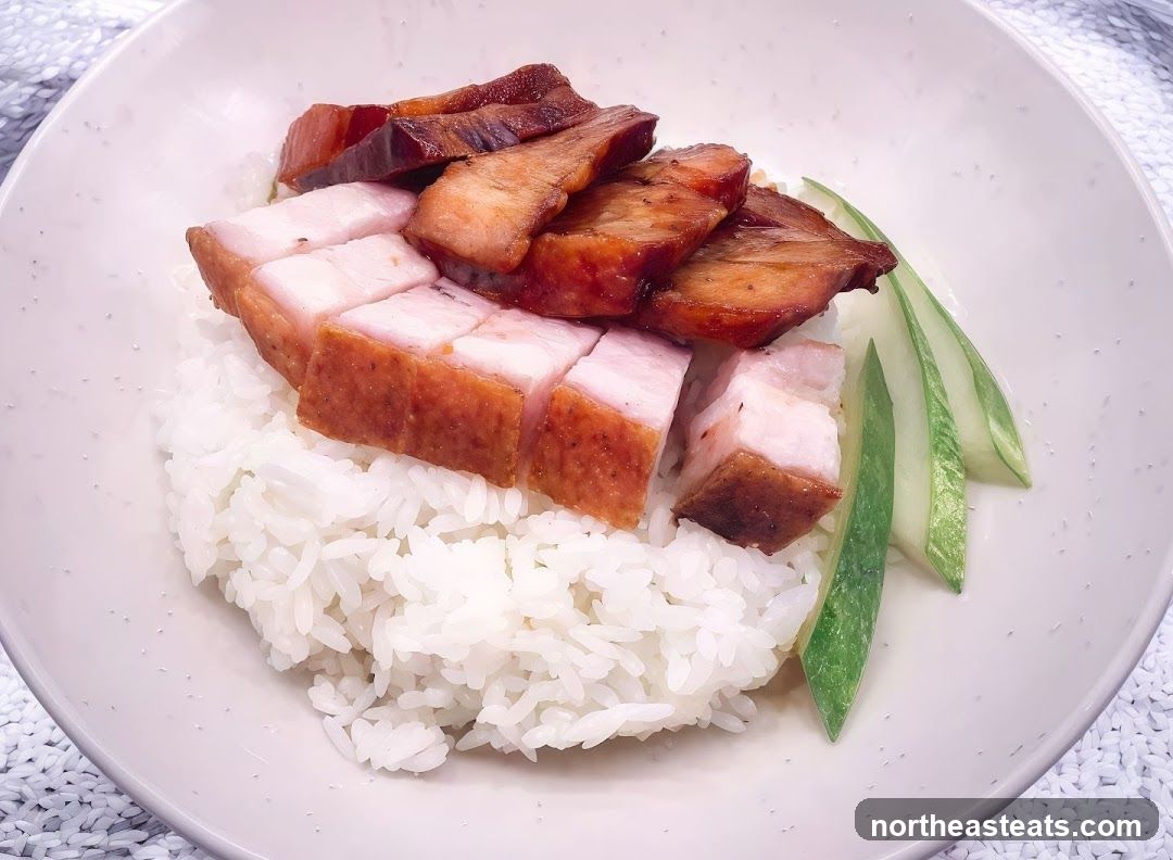 Roast Pork Belly and Char Siu Rice