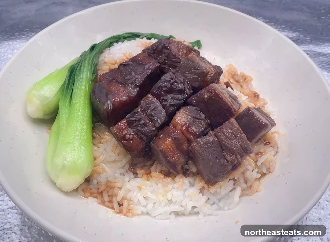 Braised Pork Belly with Rice