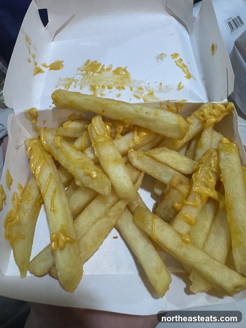 Cheese Fries