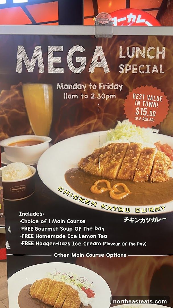 Mega Lunch Special