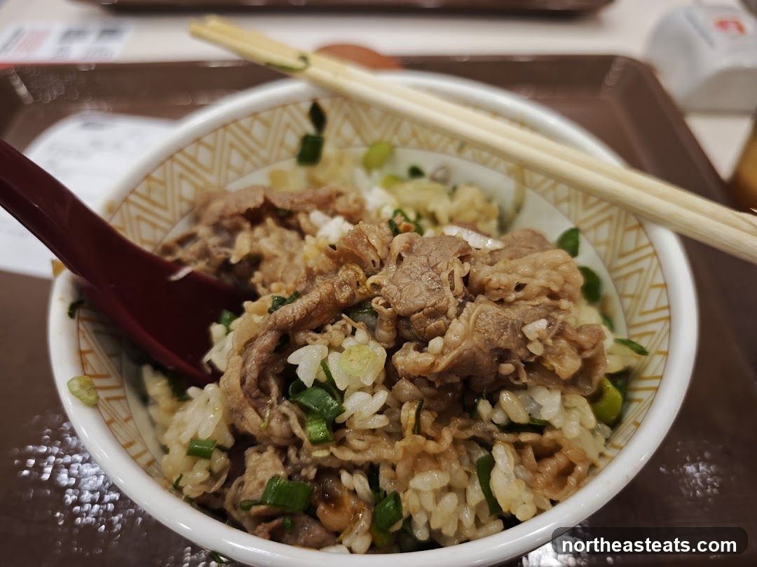 Beef bowl with rice and green onions