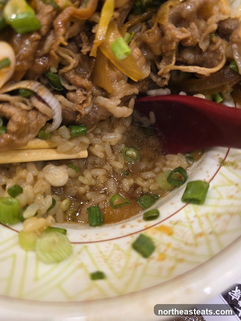 Beef and Rice Bowl