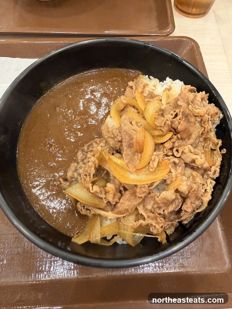 Beef and Onion Curry Rice