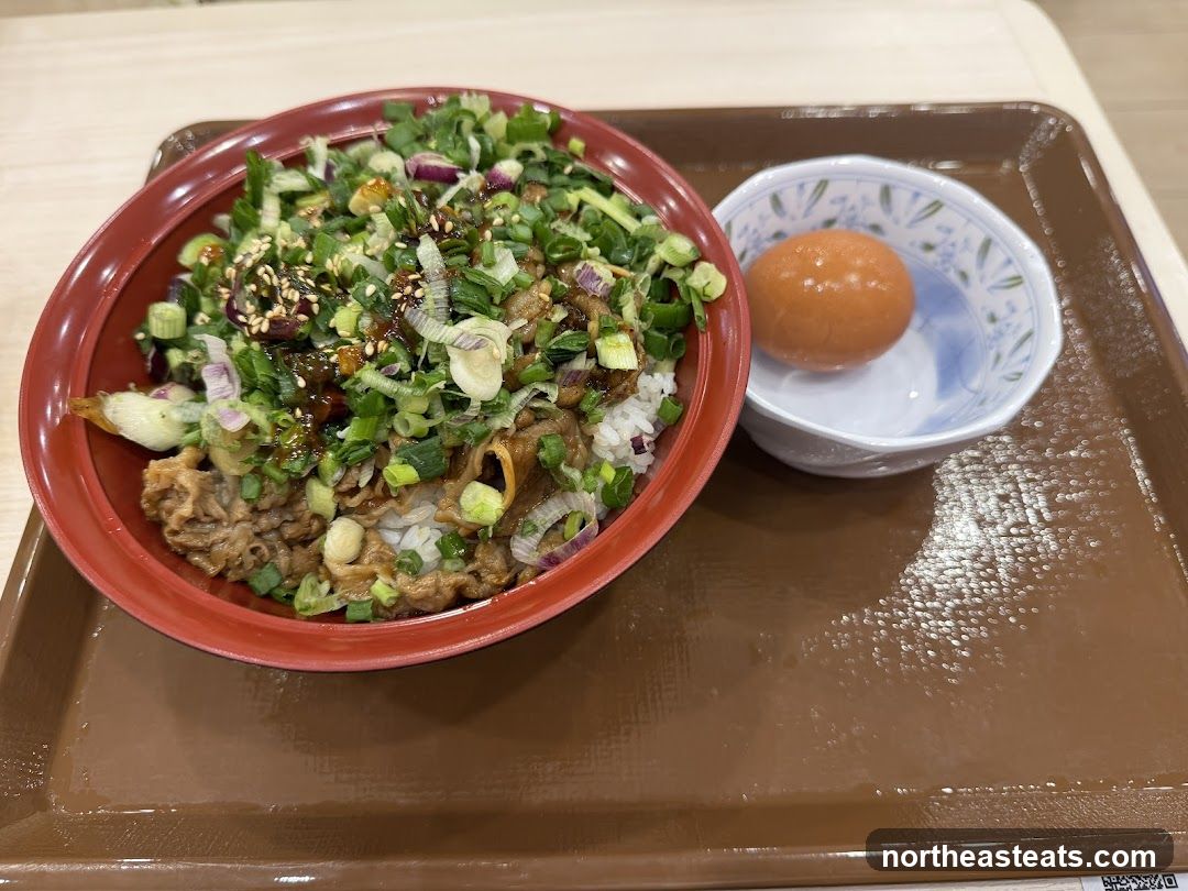 Beef bowl with egg