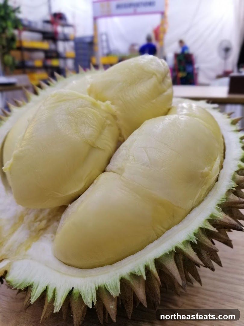 Durian Empire