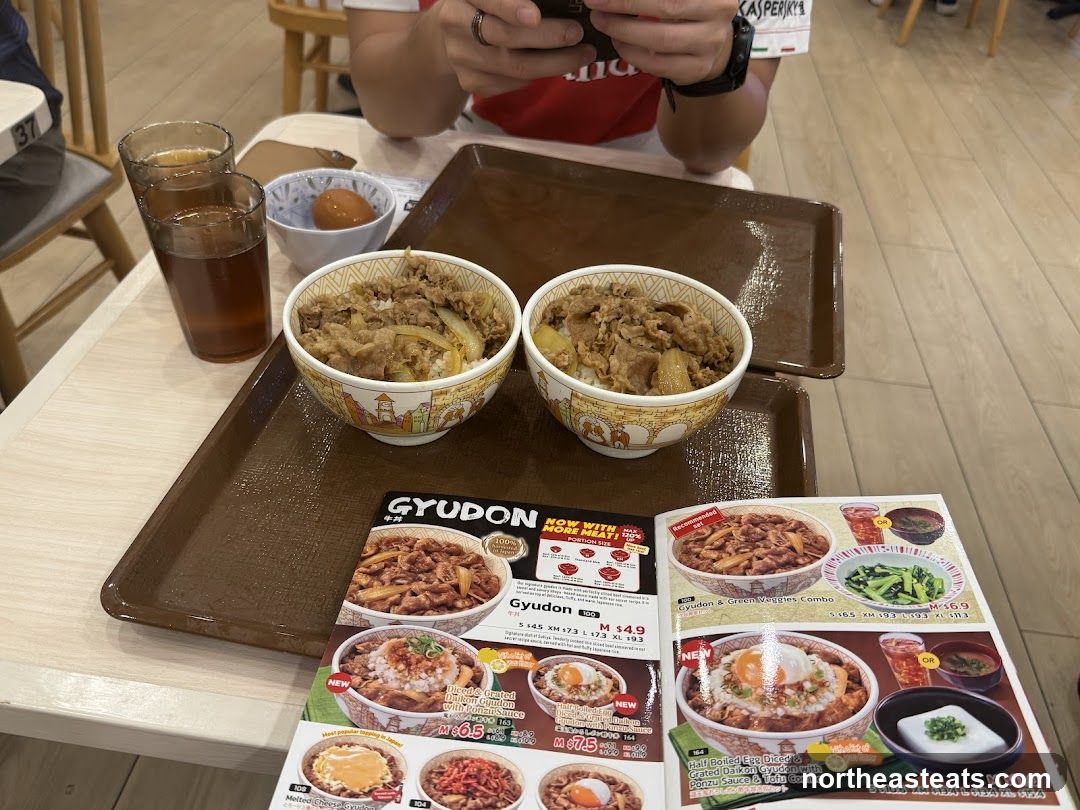 Gyudon Meal