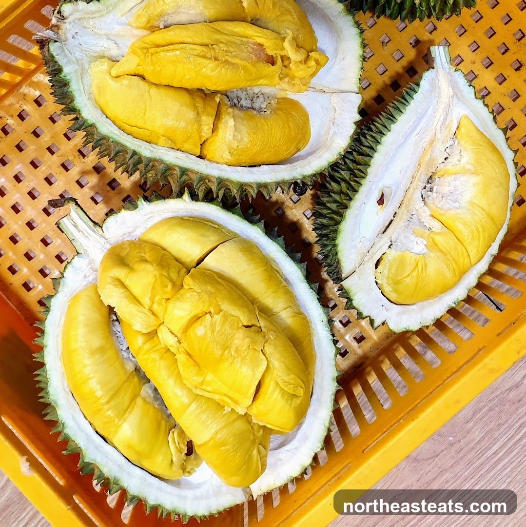 Durian Fruit