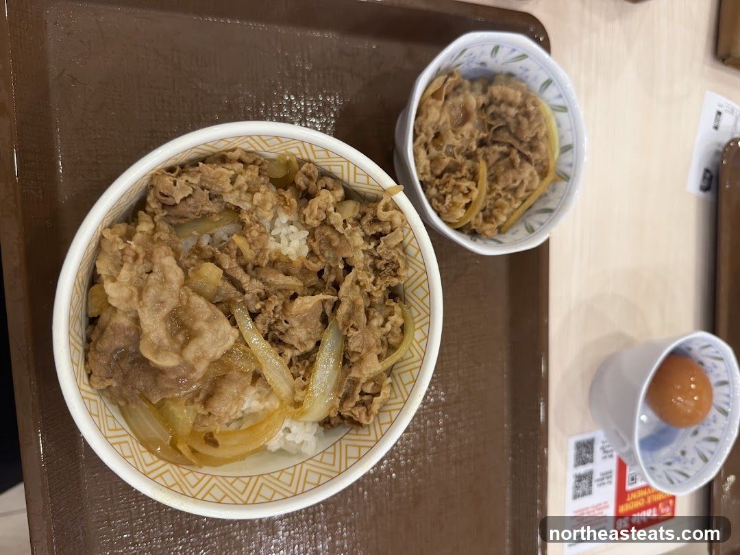 Beef Bowl and Side Dish