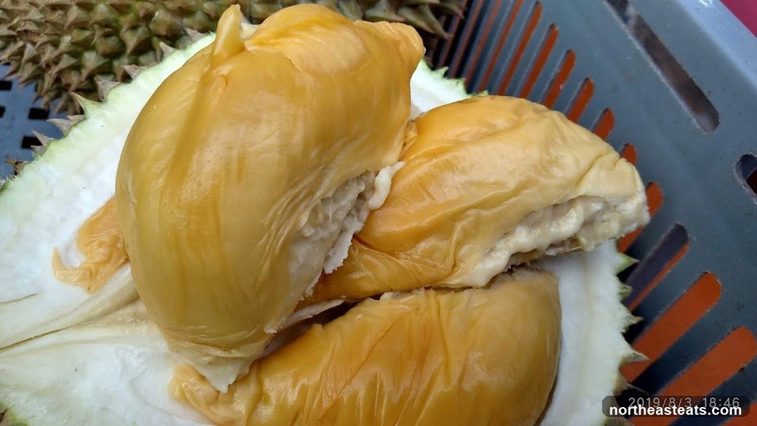 Durian Fruit