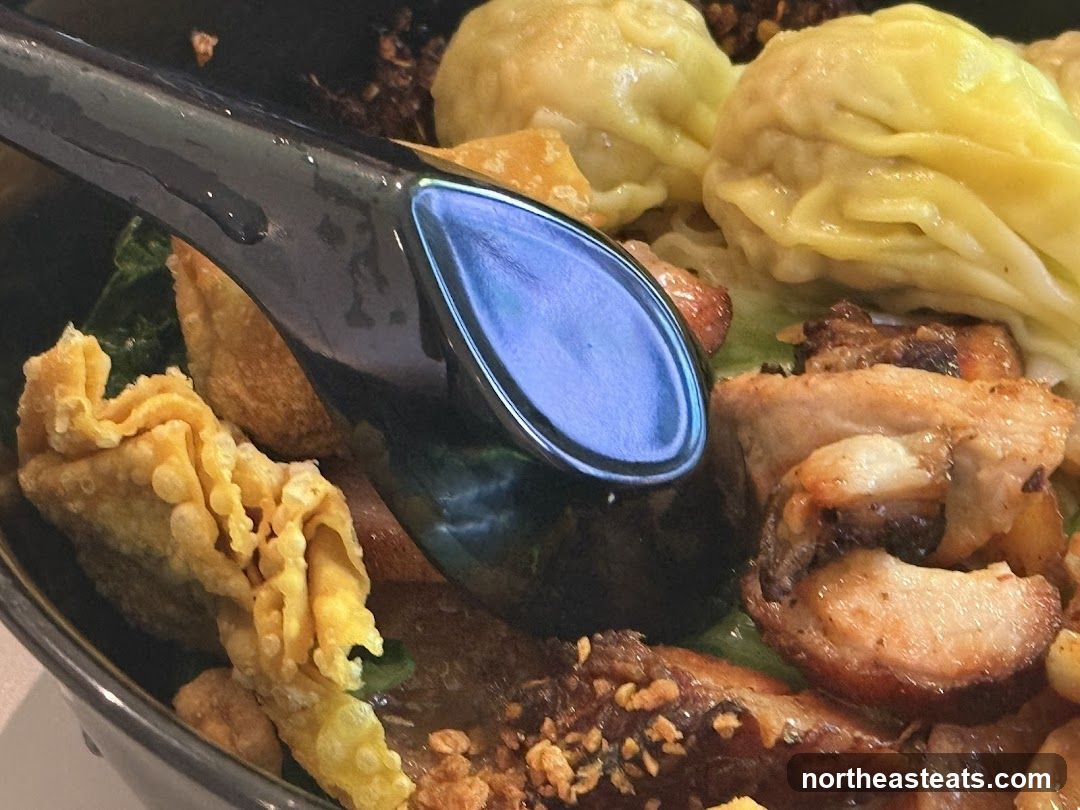 Close-up of a bowl of noodles with wontons and meat