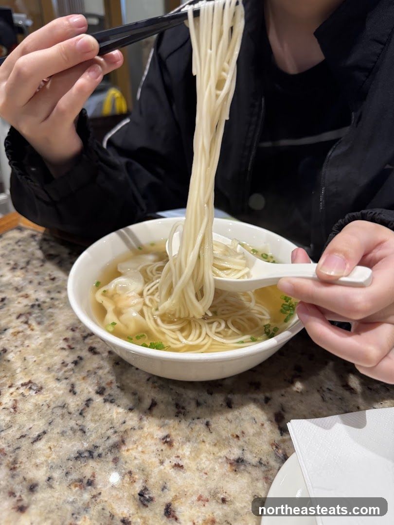 Noodle Soup