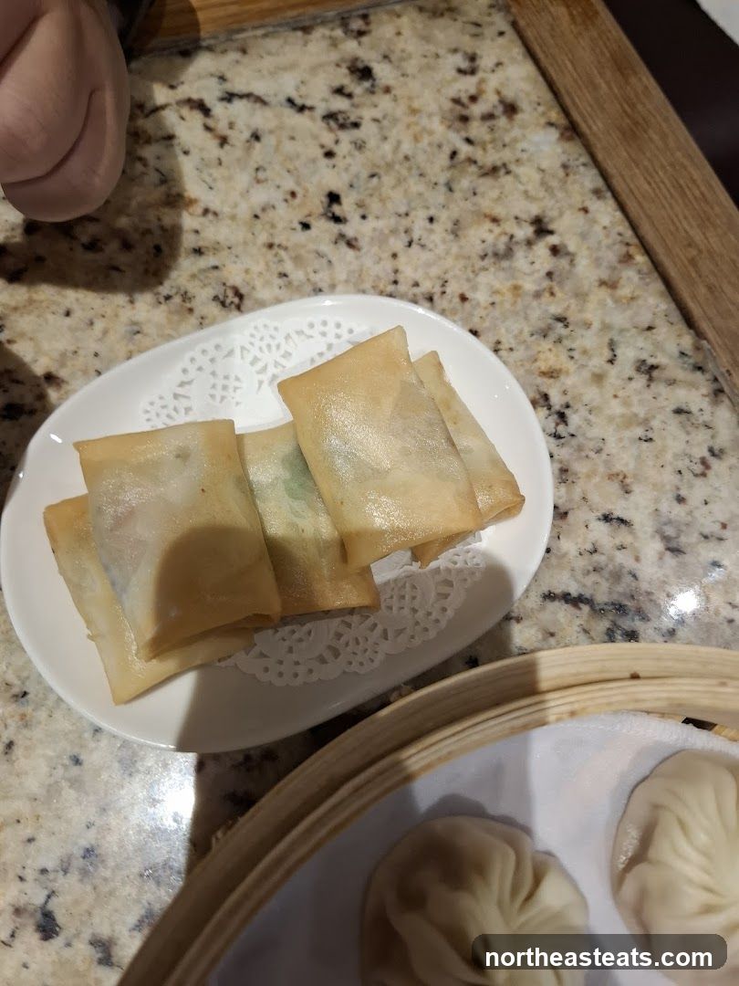 Spring Rolls and Soup Dumplings