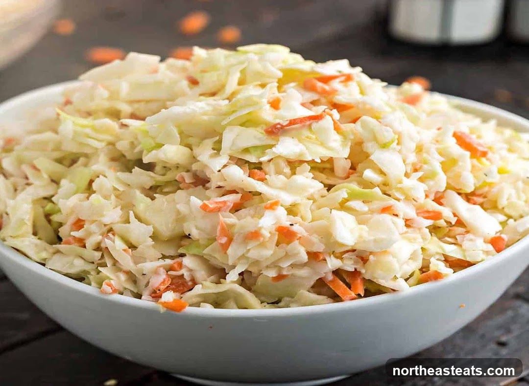 Bowl of Coleslaw