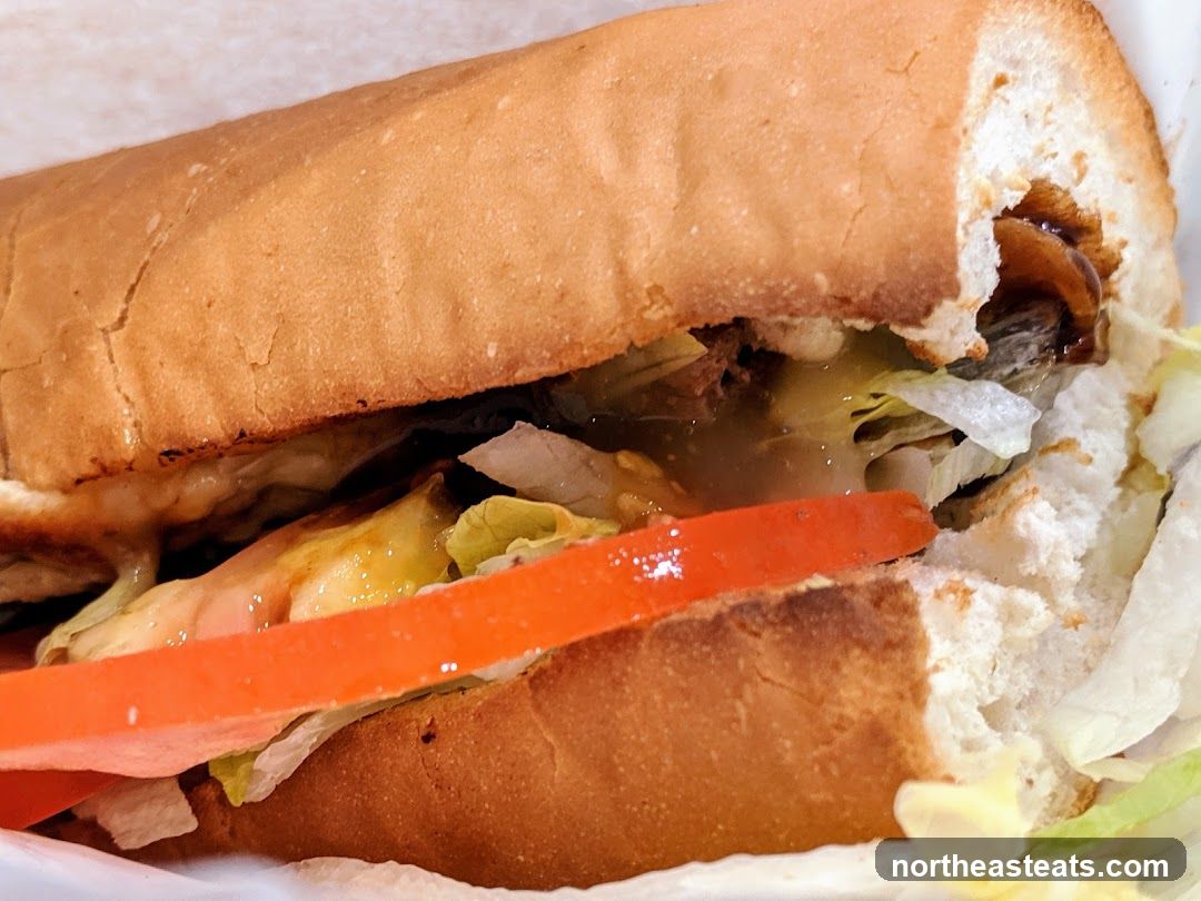 Close-up of a Sub Sandwich