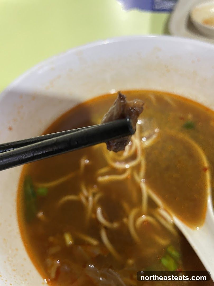 Close-up of Beef Noodles