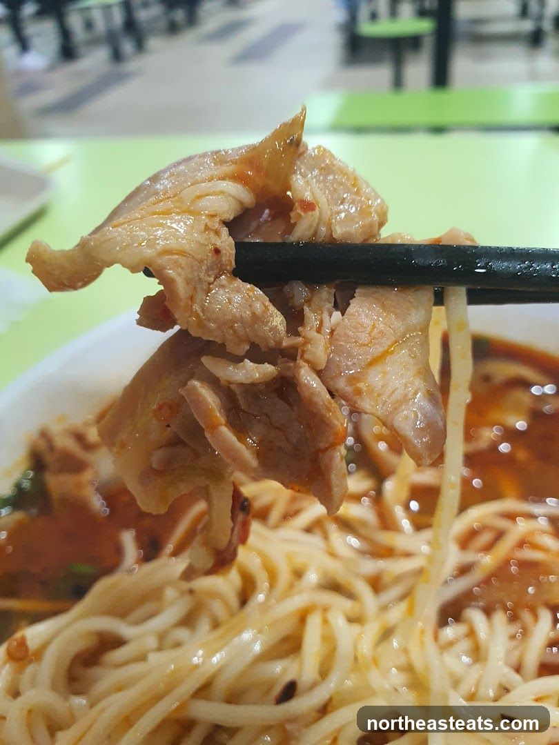 Close-up of Noodles with Meat