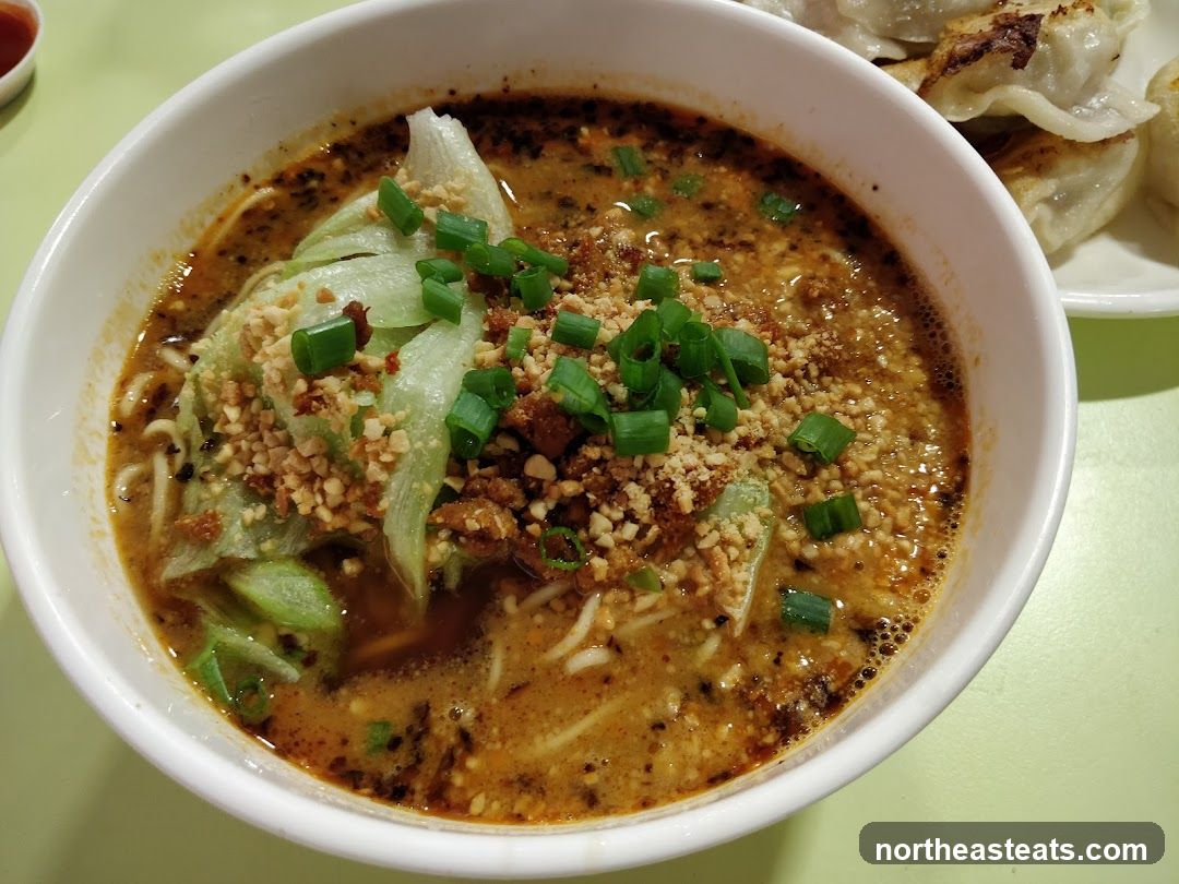 Noodle Soup with Dumplings