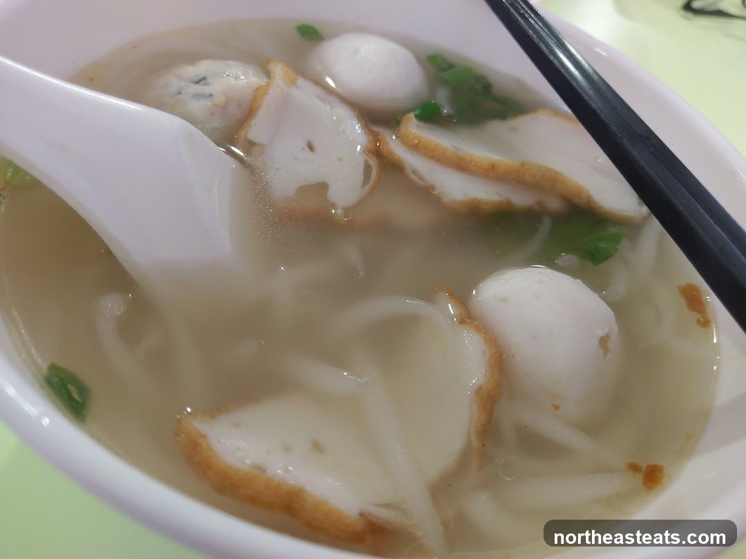 Teochew Handmade Fishball Noodle