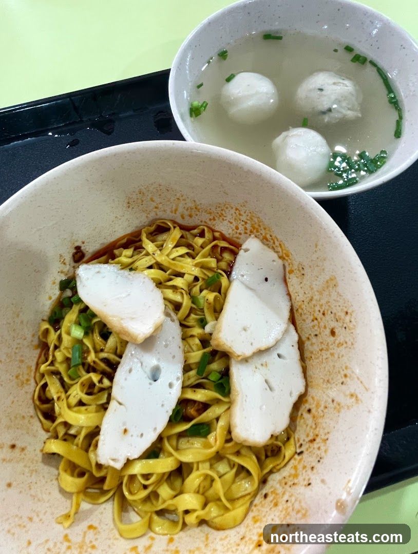Teochew Handmade Fishball Noodle
