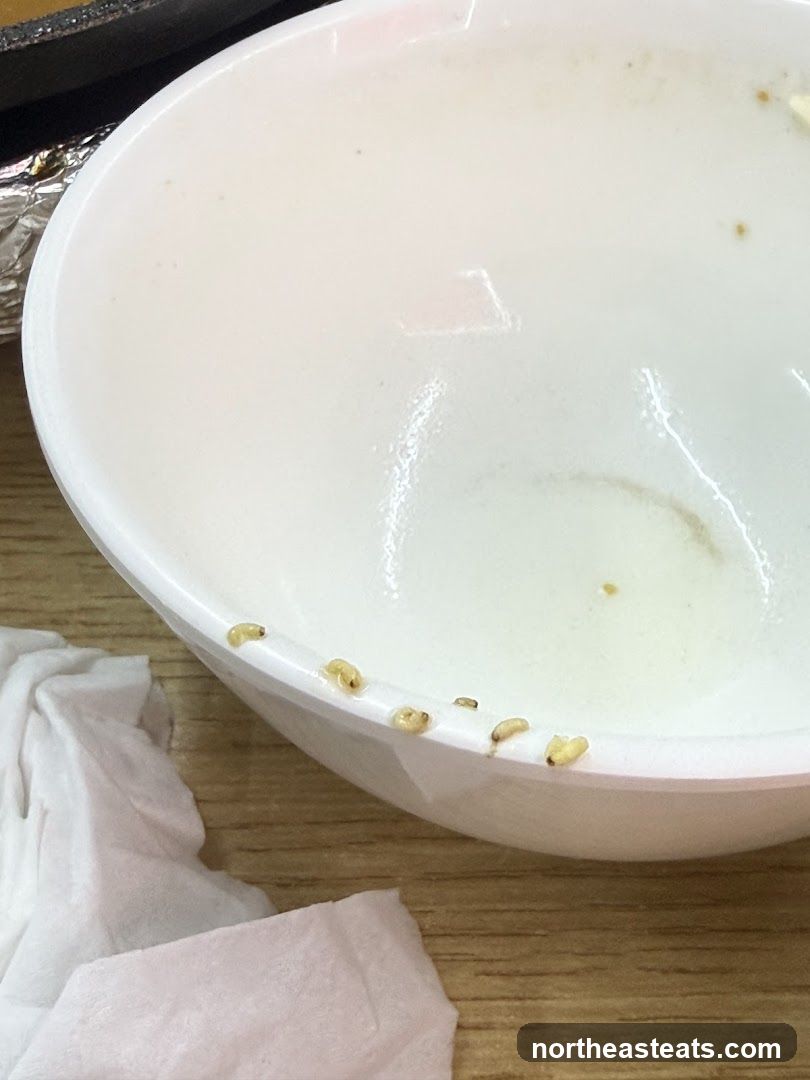 Maggots in a bowl