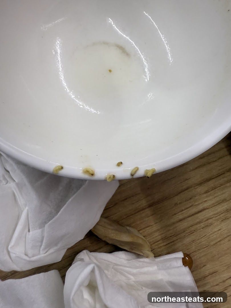 Worm-like objects in a bowl