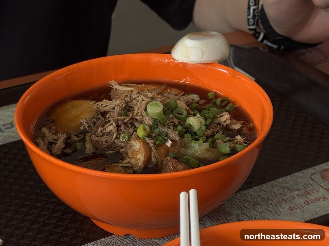 Bowl of Braised Duck Noodles