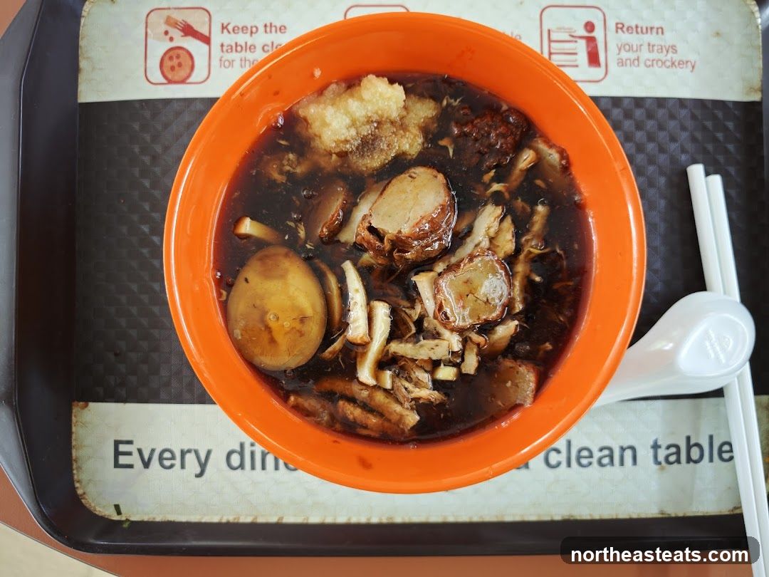 Bowl of Braised Meat Noodles