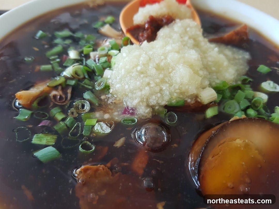 Braised Pork Noodles