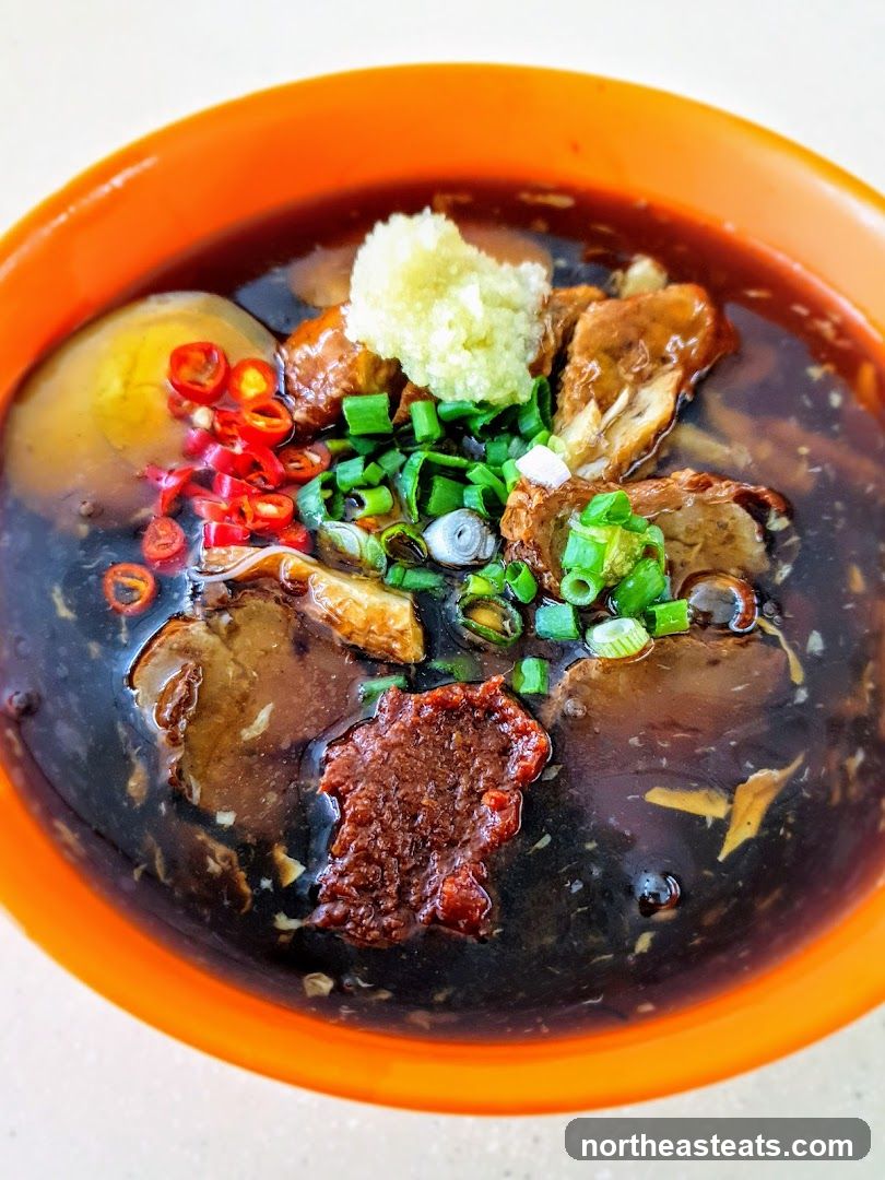 Braised Pork Noodles