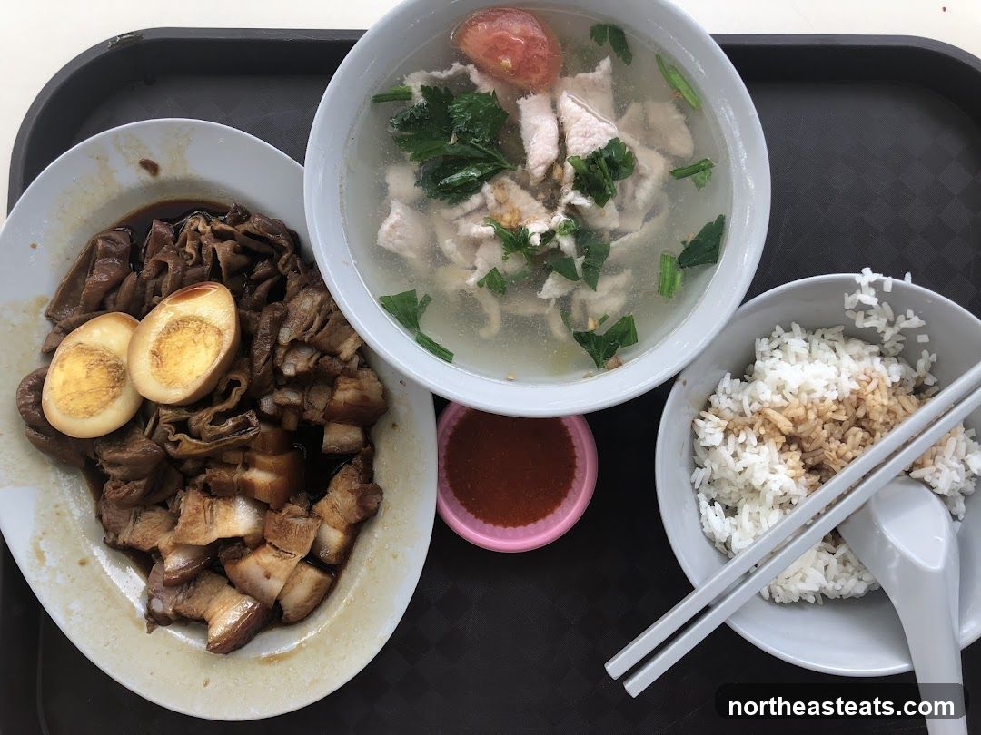 Braised Pork and Egg Rice Bowl