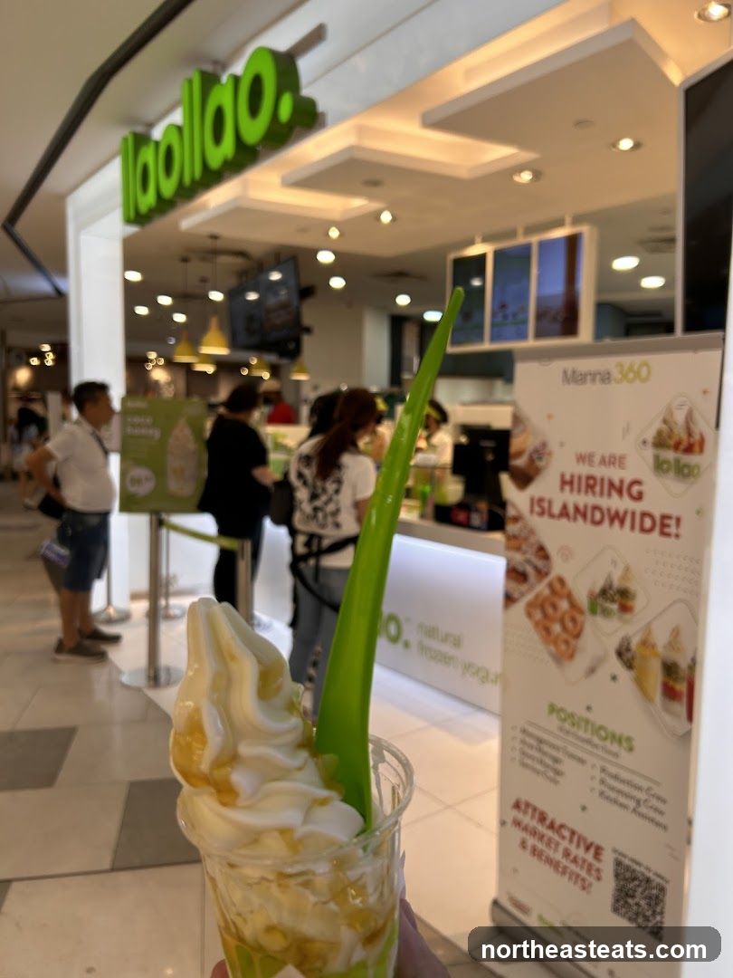 Llaollao Frozen Yogurt