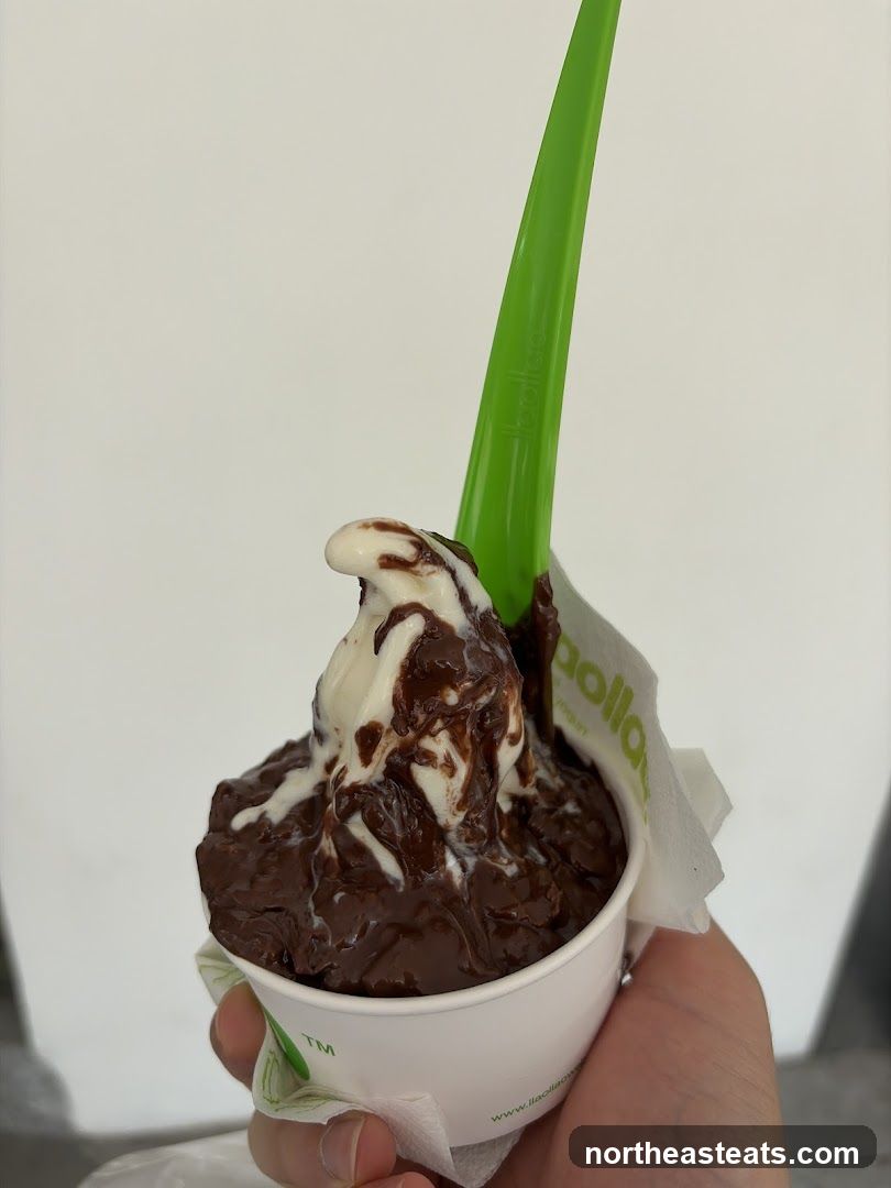 Chocolate Frozen Yogurt