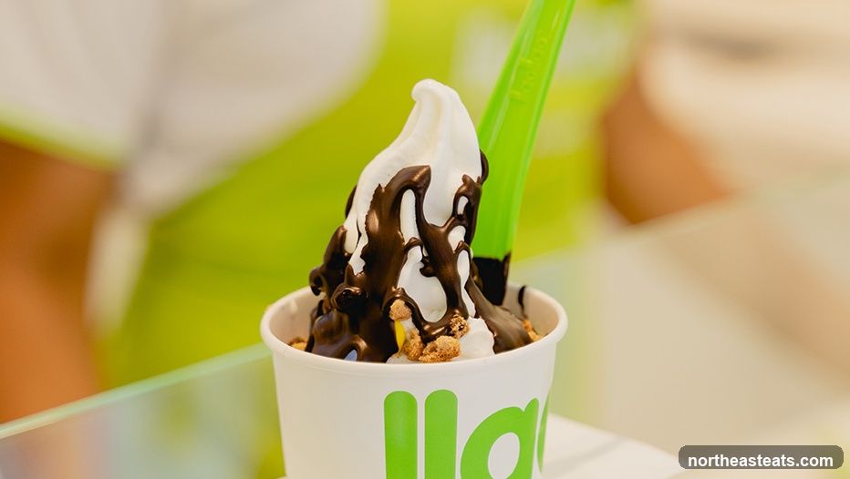 Frozen Yogurt with Chocolate Drizzle