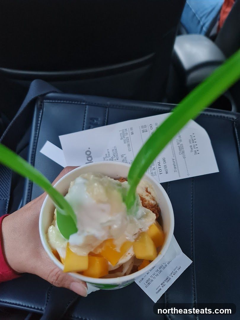 Frozen Yogurt with Mango