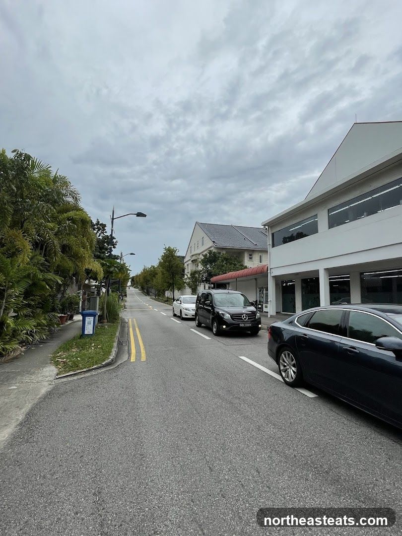 Street View with Cars and Buildings
