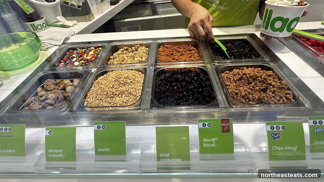 Frozen Yogurt Toppings