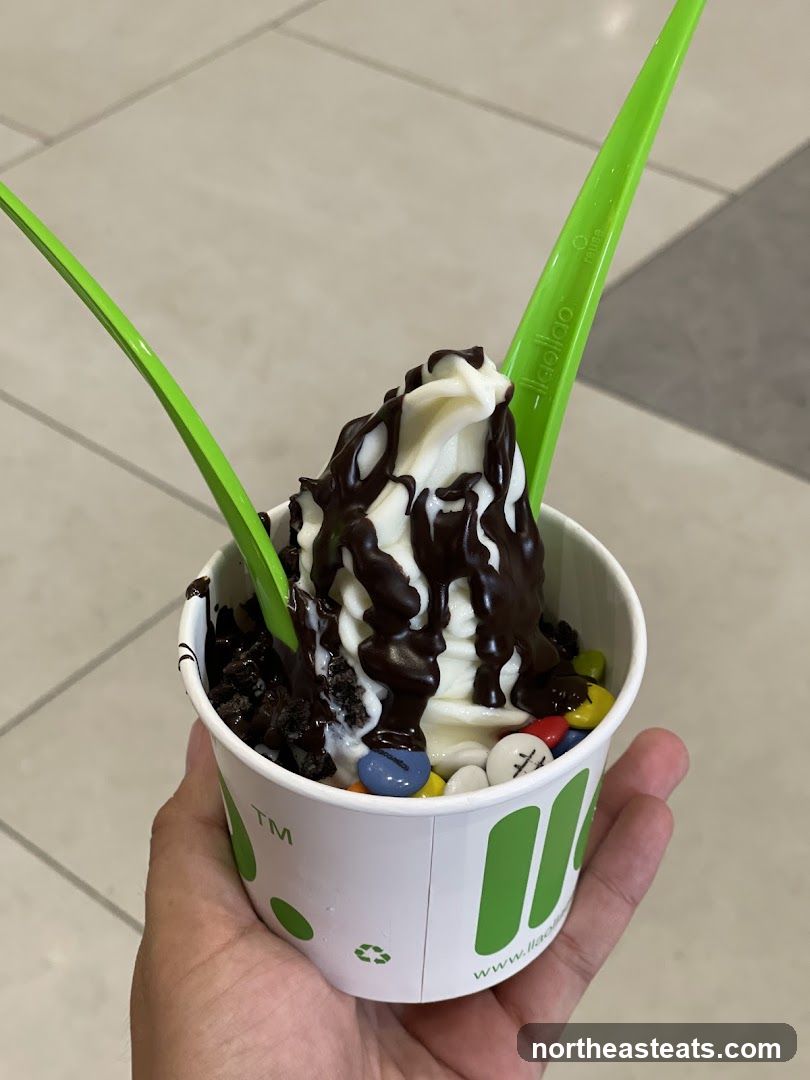 Frozen Yogurt with Toppings
