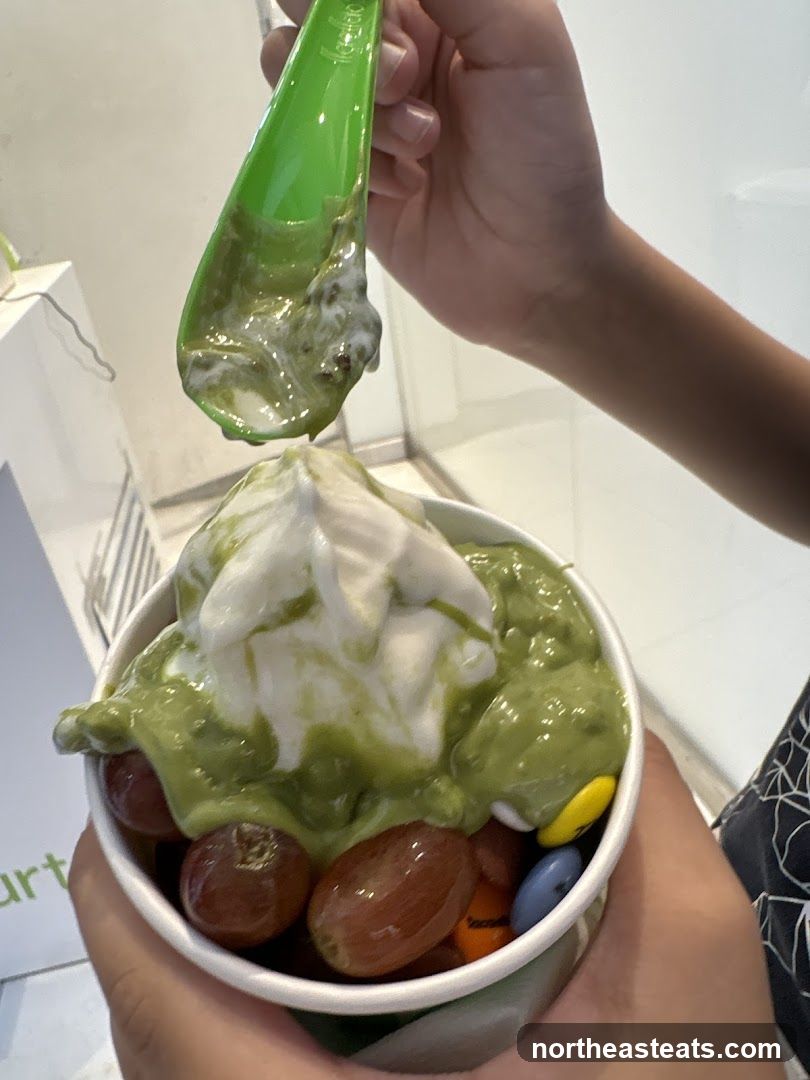 Frozen Yogurt with Toppings