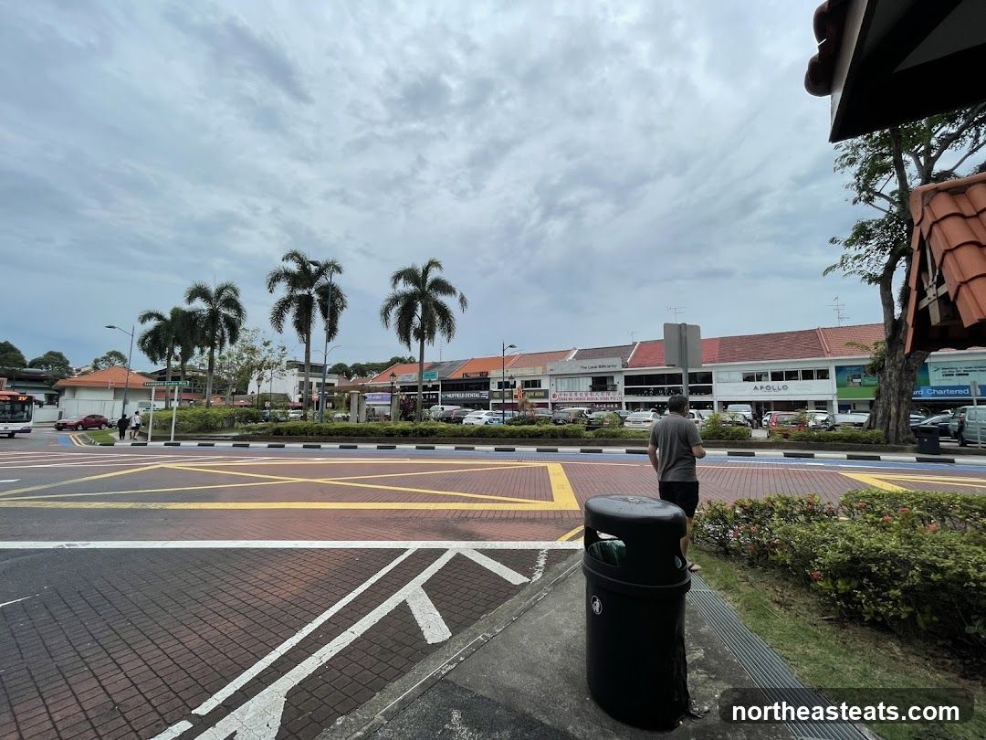 Street View with Shops and Palm Trees