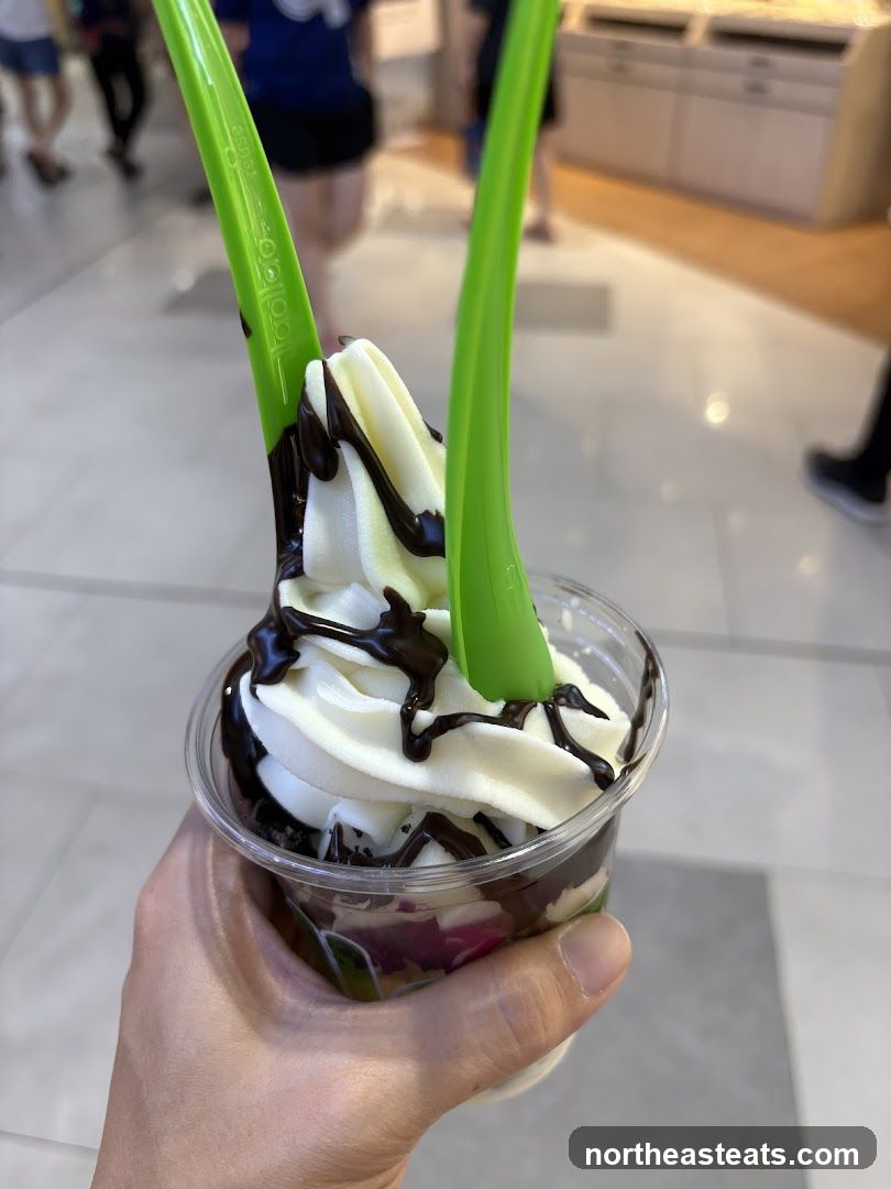 Frozen Yogurt with Chocolate Drizzle
