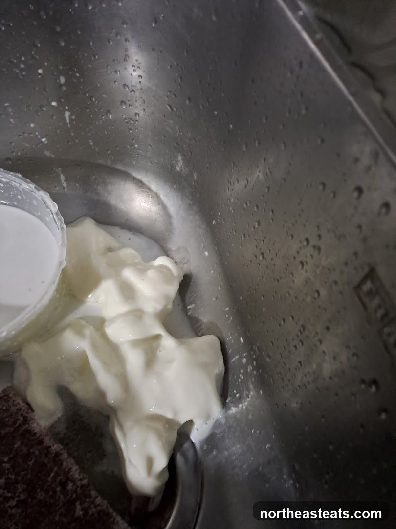 Yogurt in a Sink