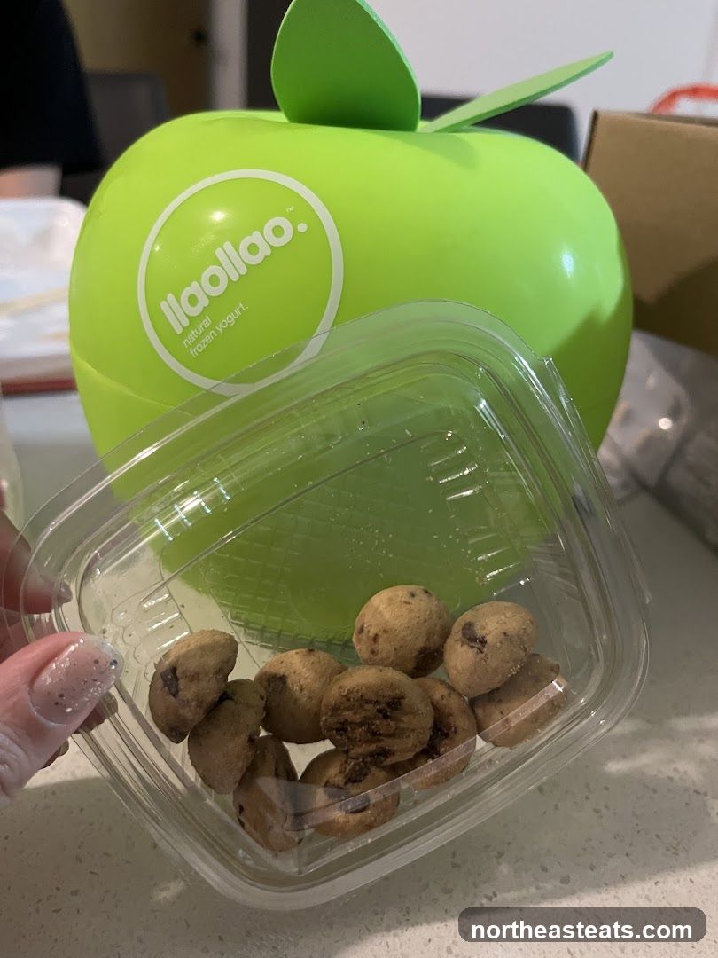 Llaollao Frozen Yogurt Container with Cookies