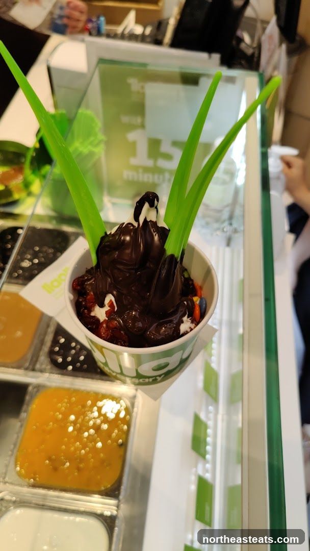 Frozen Yogurt with Chocolate Topping