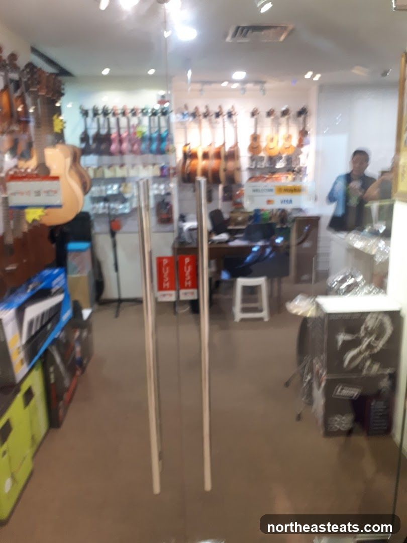Musical Instrument Store