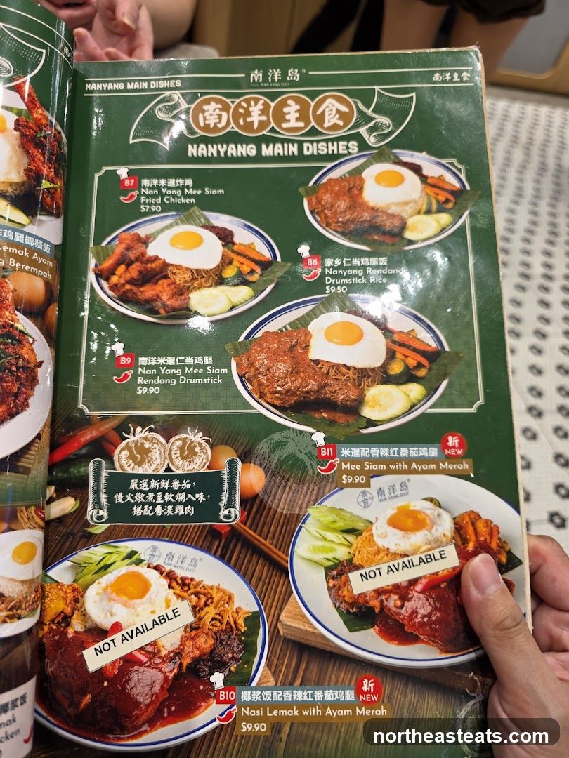 NANYANG MAIN DISHES