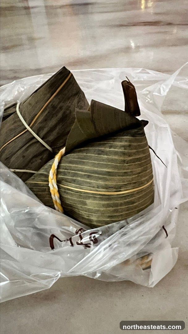Zongzi in a Plastic Bag
